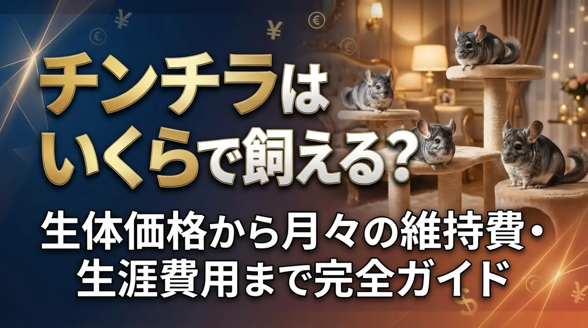 チンチラはいくらで飼える?生体価格から月々の維持費・生涯費用まで完全ガイド