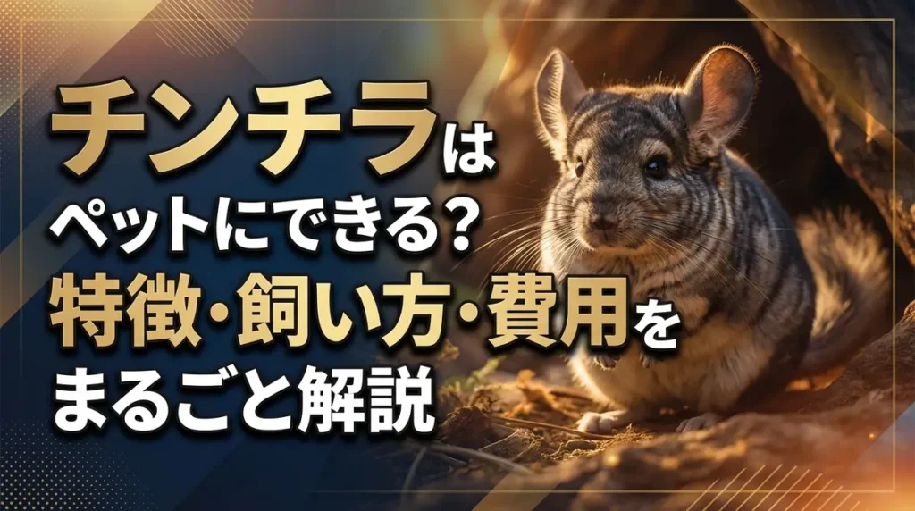 チンチラはペットにできる？特徴・飼い方・費用をまるごと解説