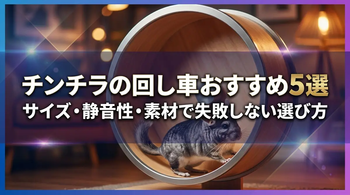 チンチラの回し車おすすめ5選|サイズ・静音性・素材で失敗しない選び方