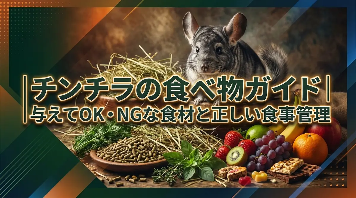 チンチラの食べ物ガイド|与えてOK・NGな食材と正しい食事管理
