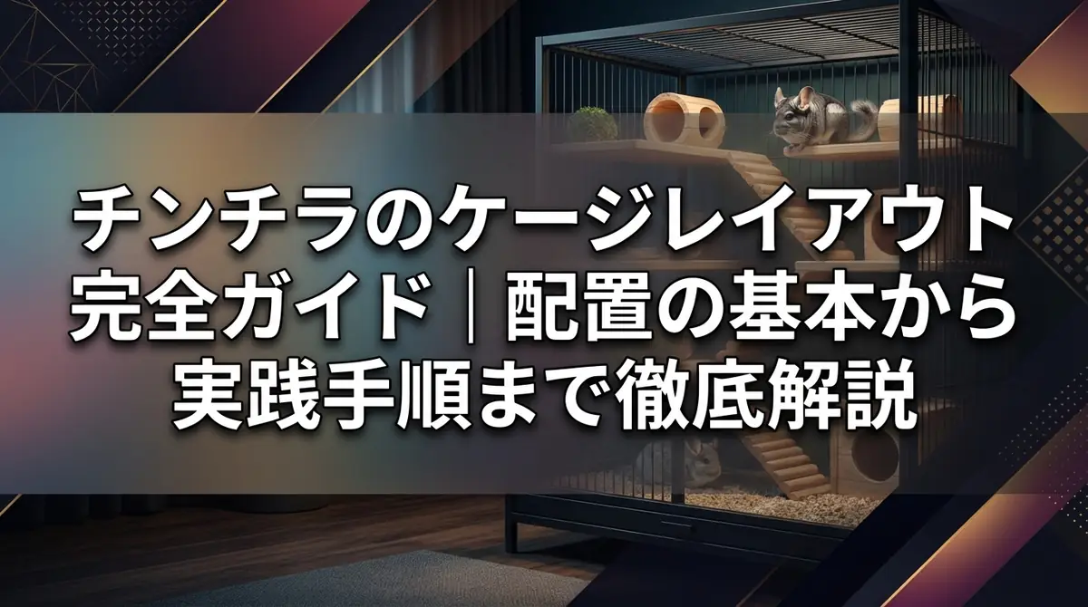 チンチラのケージレイアウト完全ガイド｜配置の基本から実践手順まで徹底解説
