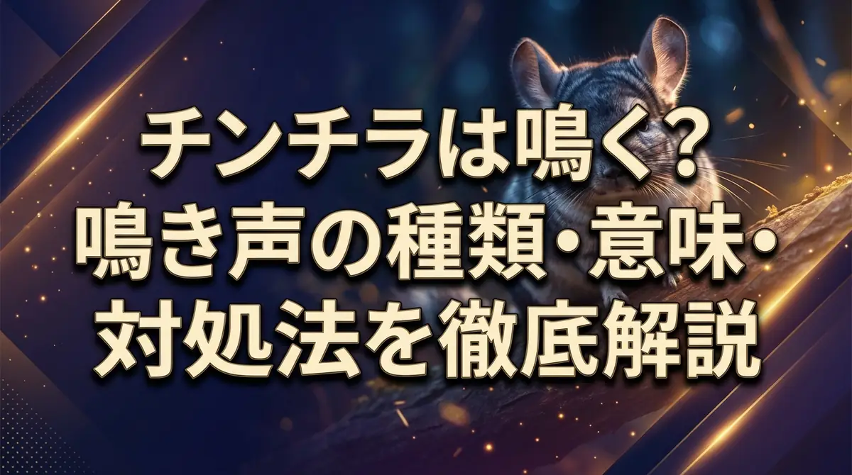 チンチラは鳴く？鳴き声の種類・意味・対処法を徹底解説