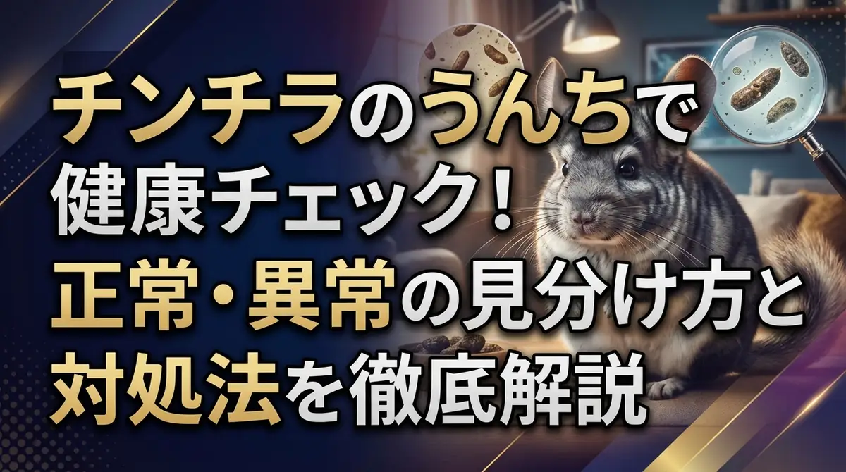 チンチラのうんちで健康チェック！正常・異常の見分け方と対処法を徹底解説