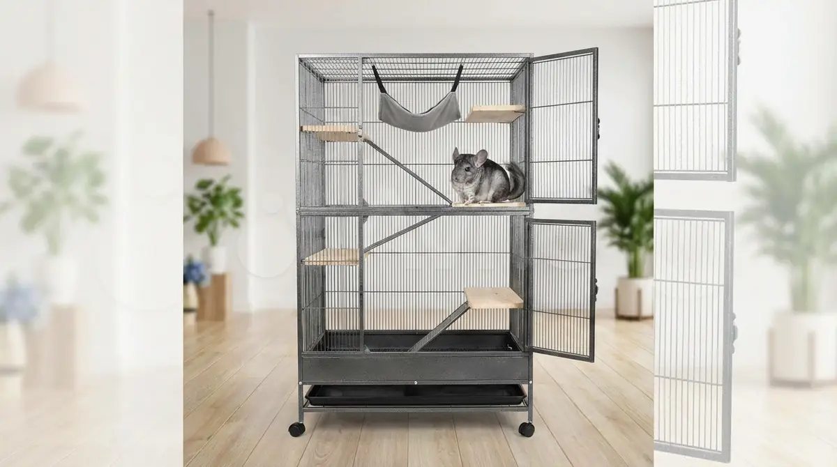 チンチラ用大型ケージ選びで失敗しない5つのポイント