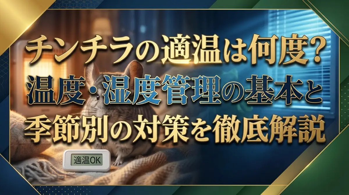 チンチラの適温は何度？温度・湿度管理の基本と季節別の対策を徹底解説