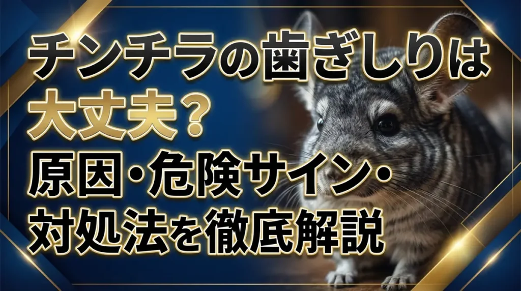 チンチラの歯ぎしりは大丈夫？原因・危険サイン・対処法を徹底解説
