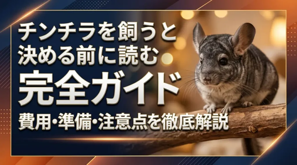 チンチラを飼うと決める前に読む完全ガイド｜費用・準備・注意点を徹底解説
