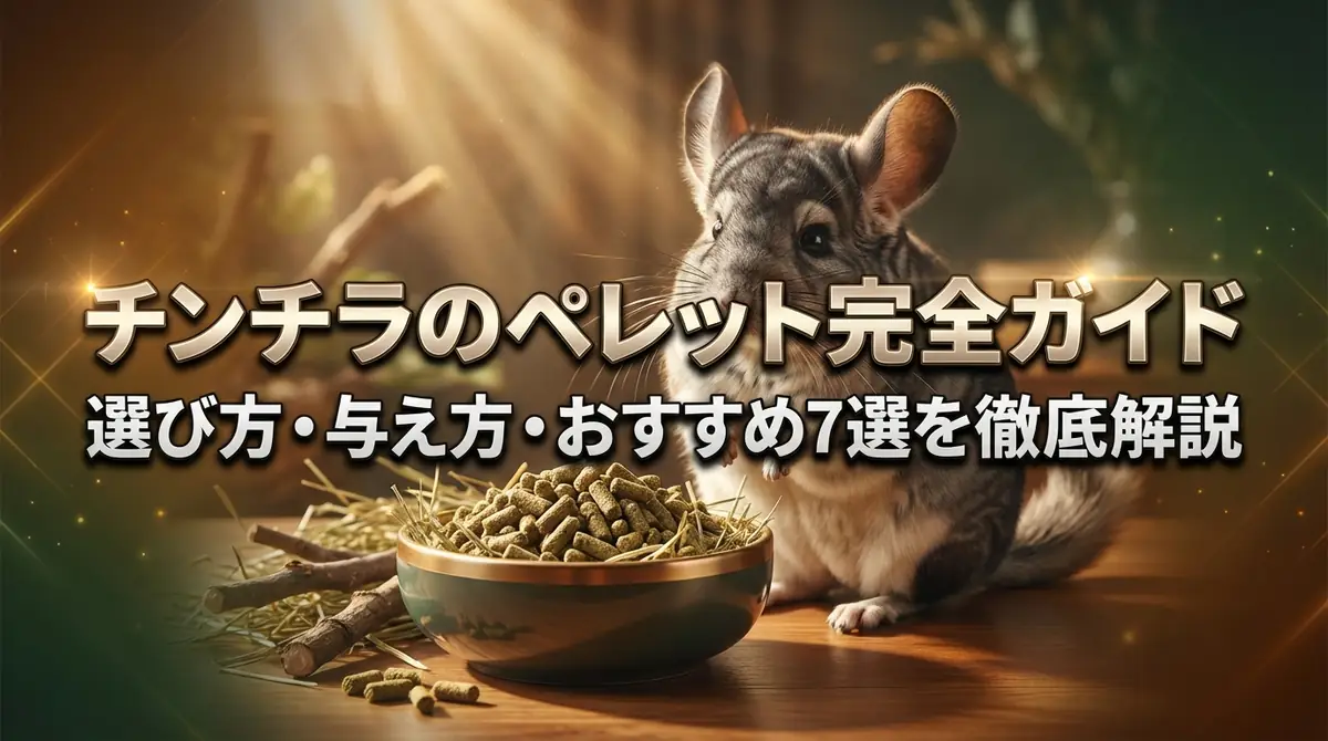 チンチラのペレット完全ガイド|選び方・与え方・おすすめ7選を徹底解説