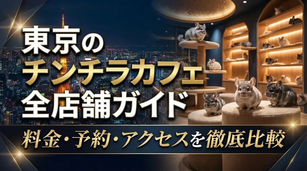 東京のチンチラカフェ全店舗ガイド｜料金・予約・アクセスを徹底比較