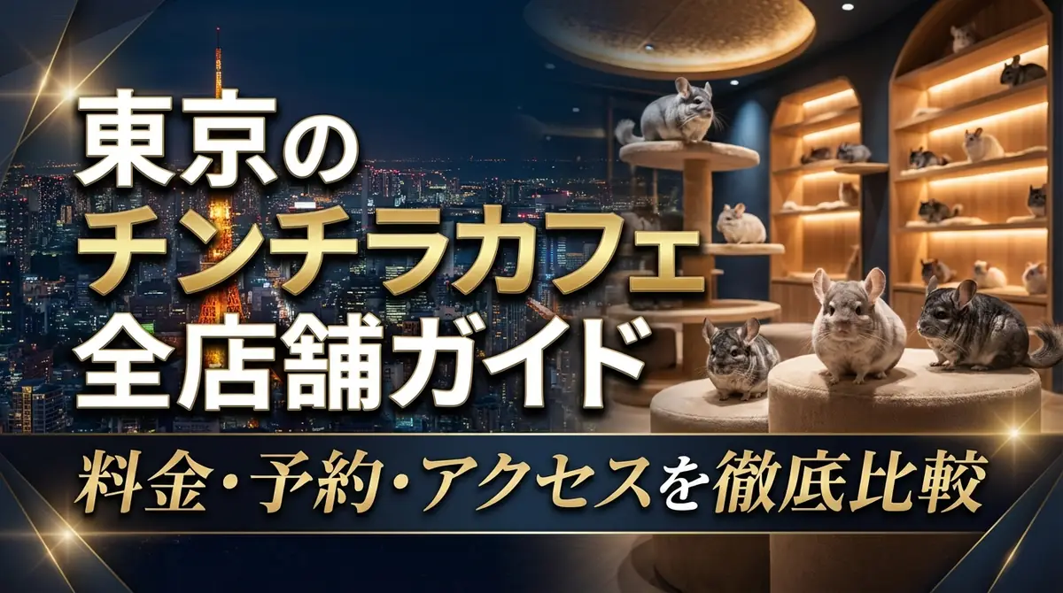 東京のチンチラカフェ全店舗ガイド｜料金・予約・アクセスを徹底比較