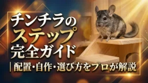 チンチラのステップ完全ガイド｜配置・自作・選び方をプロが解説