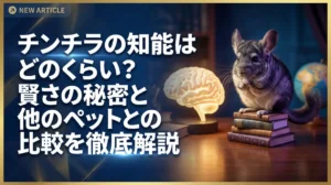 チンチラの知能はどのくらい？賢さの秘密と他のペットとの比較を徹底解説