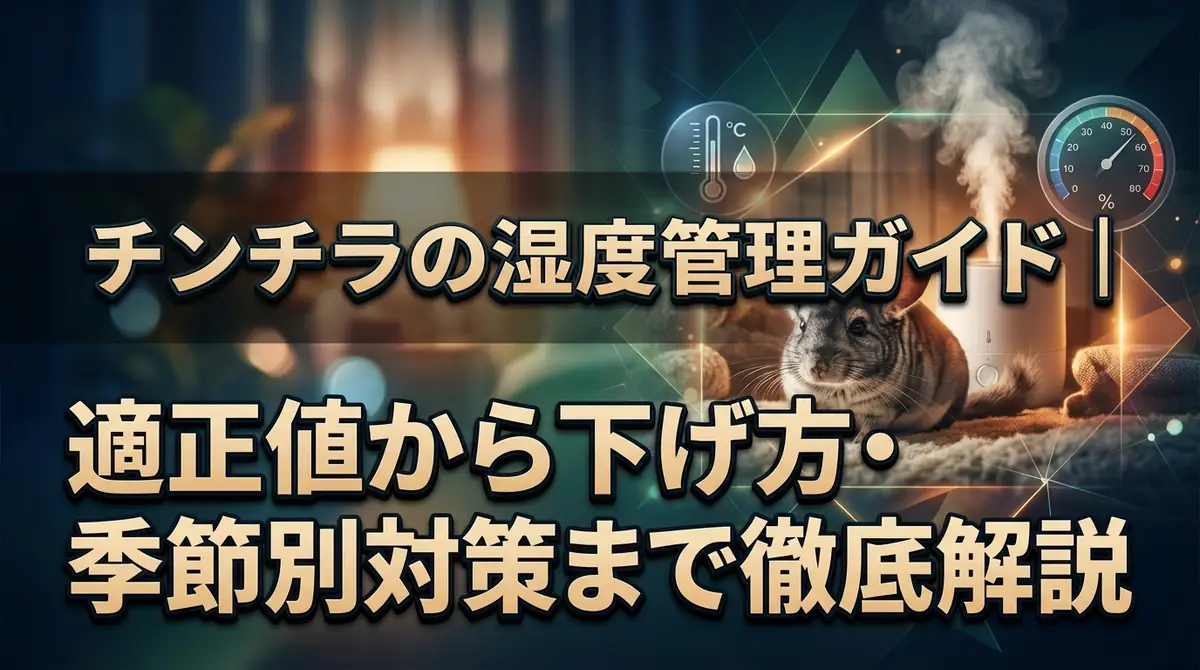 チンチラの湿度管理ガイド｜適正値から下げ方・季節別対策まで徹底解説