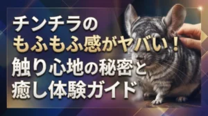 チンチラのもふもふ感がヤバい！触り心地の秘密と癒し体験ガイド