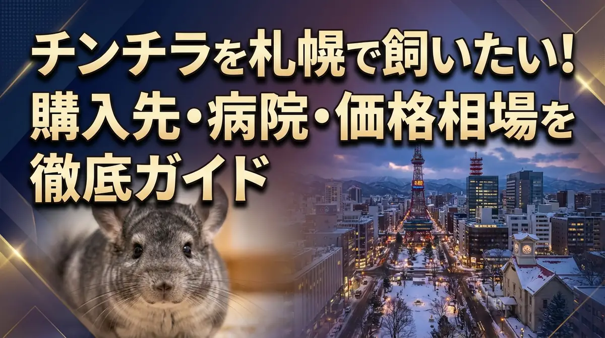 チンチラを札幌で飼いたい！購入先・病院・価格相場を徹底ガイド