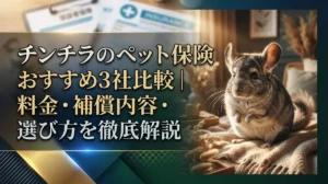 チンチラのペット保険おすすめ3社比較｜料金・補償内容・選び方を徹底解説