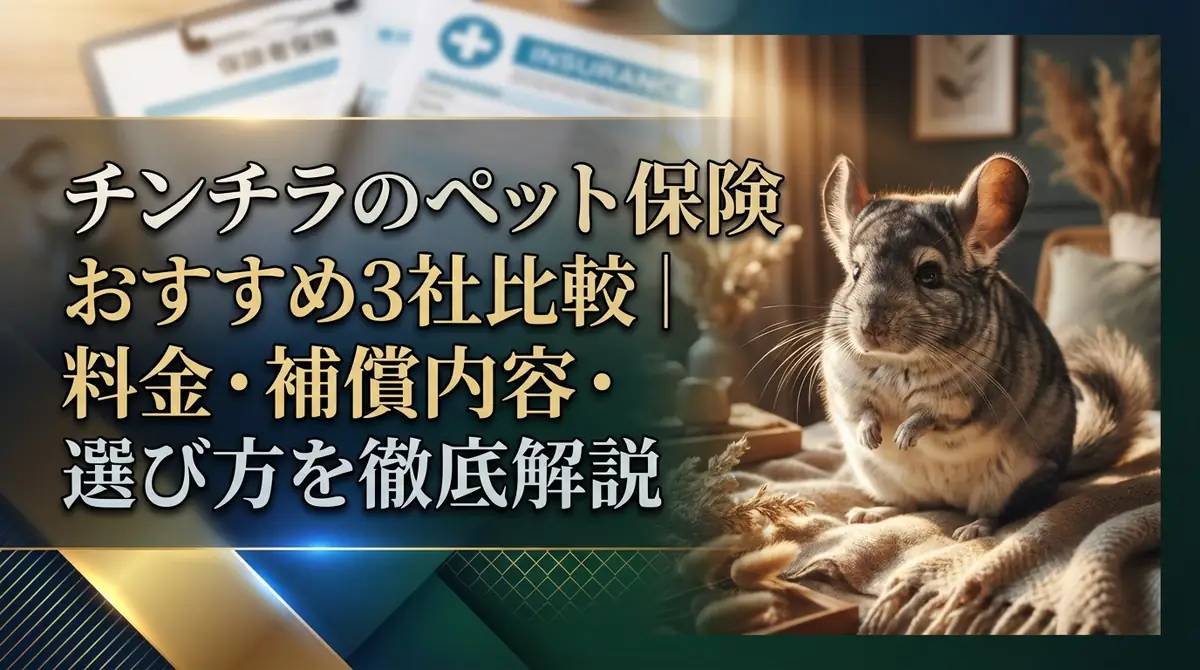 チンチラのペット保険おすすめ3社比較｜料金・補償内容・選び方を徹底解説